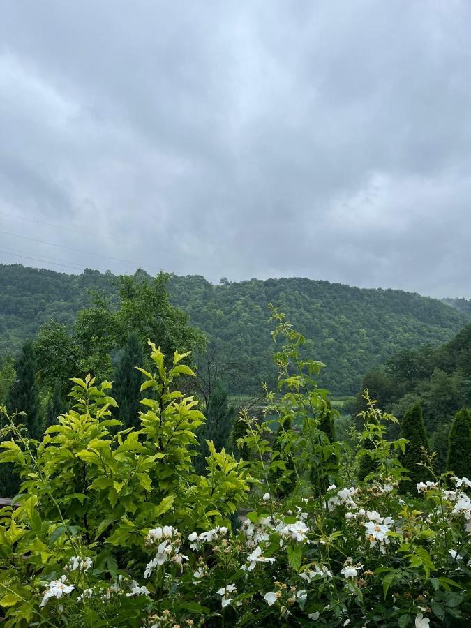 Villa Nature Bihać Exteriör bild