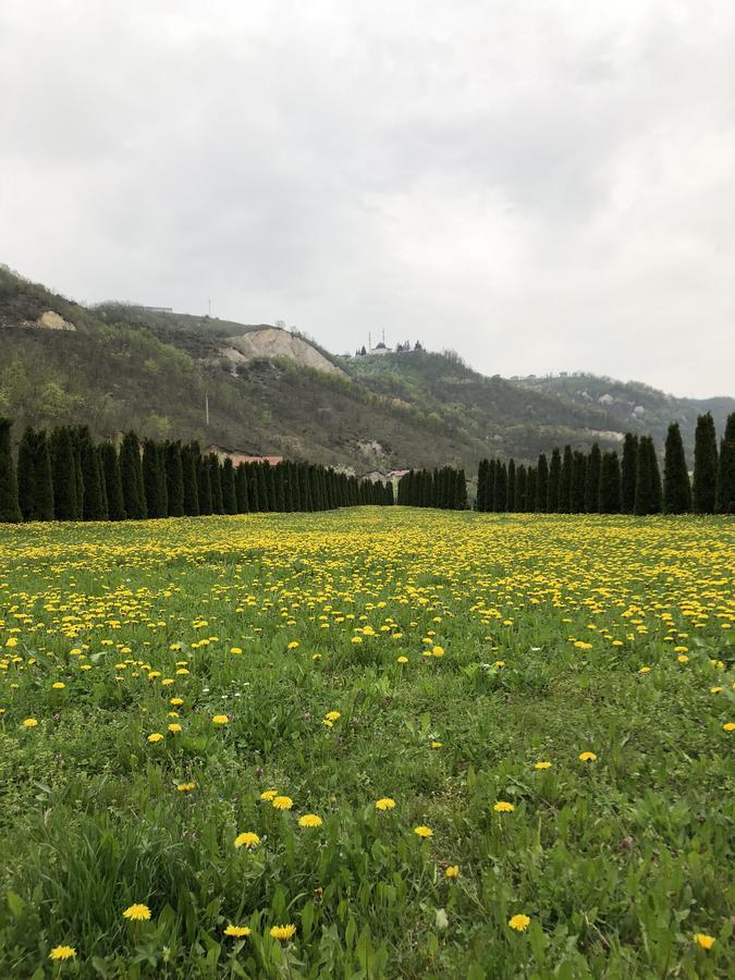 Villa Nature Bihać Exteriör bild